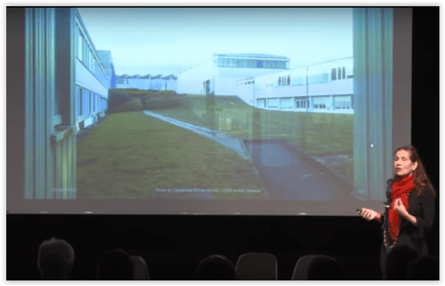 Screen Shot 08-05-17 at 12.14 PM