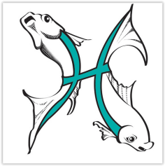 Screen Shot 09-23-17 at 09.49 PM