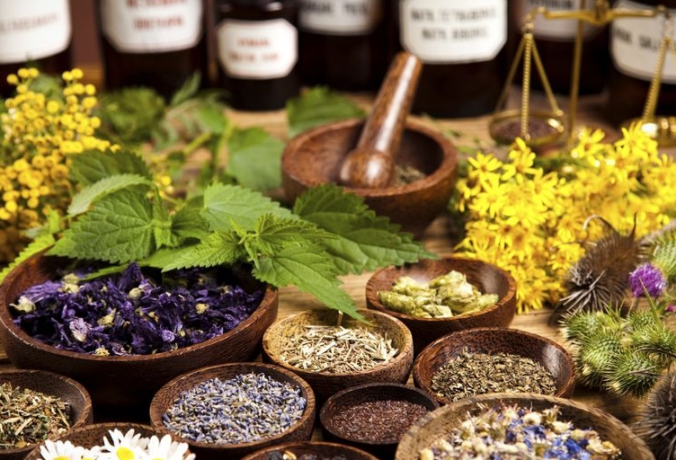 The Etheric Body and the Subtle      Science of&nbsp;Homeopathy